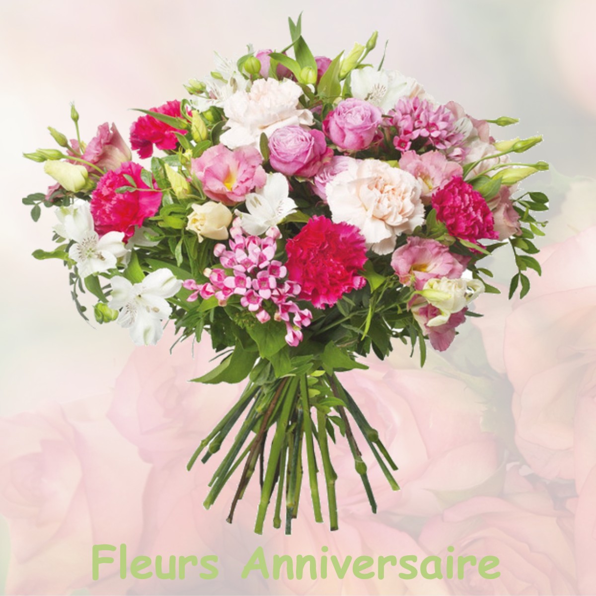 fleurs anniversaire CHATEAUNEUF-MIRAVAIL